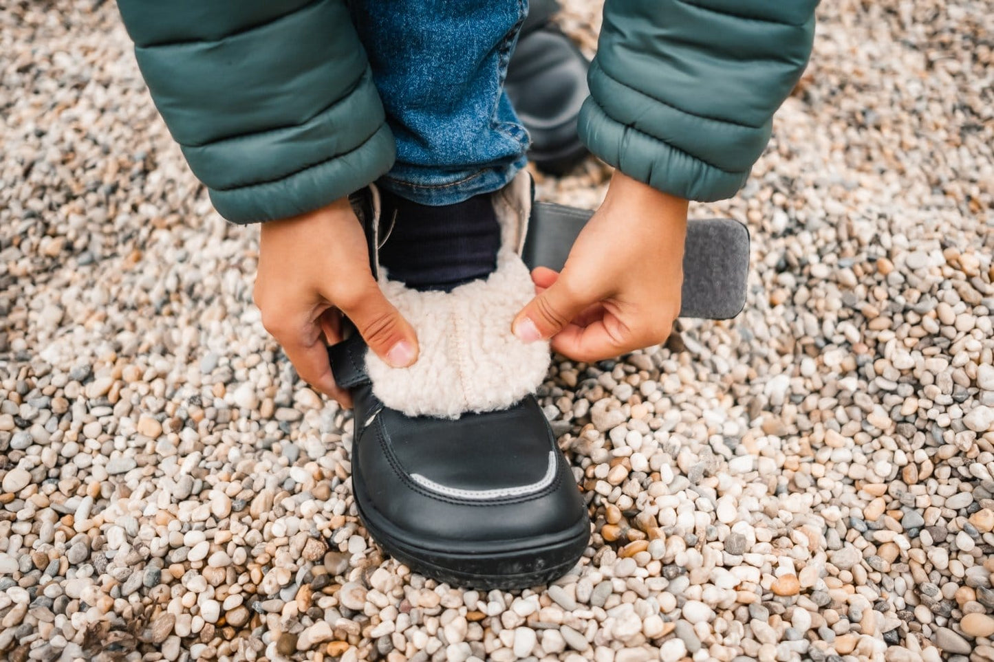 Winter Panda (black)