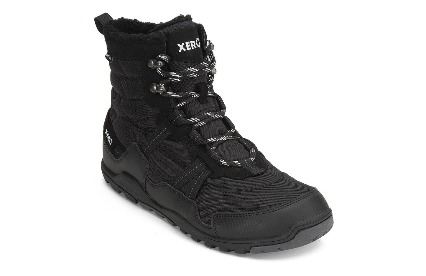 Men Boots Alpine (black)