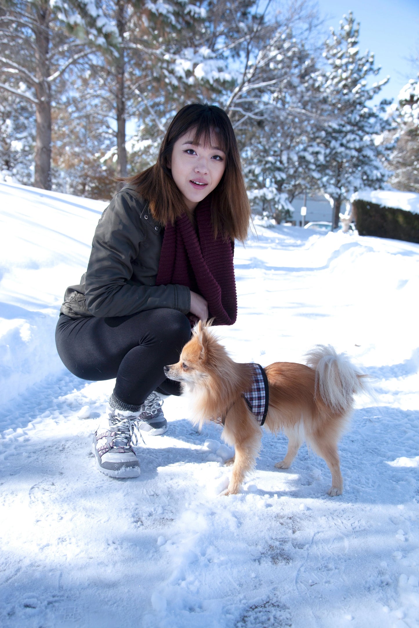Alpine Women's Snow Boots (irish cream)