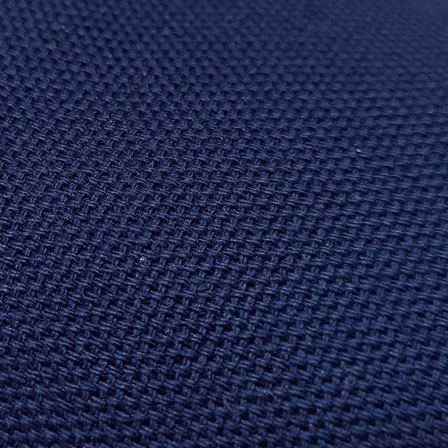 Starter Shoes (blue)