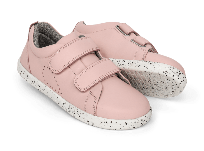 Grass Court (seashell)