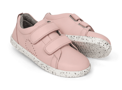 Grass Court (seashell)