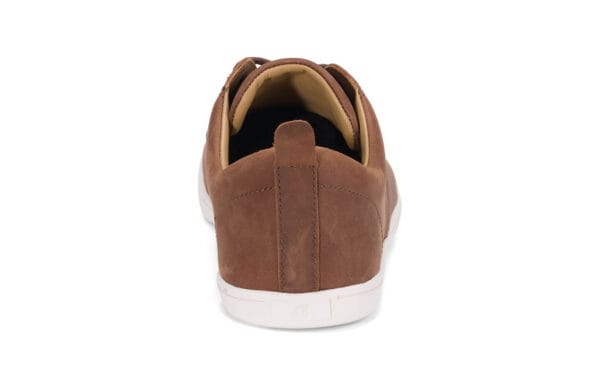 Back view of Brown Barefoot Xero dress shoes - GLM-BRN